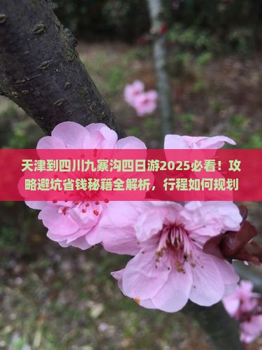 天津到四川九寨沟四日游