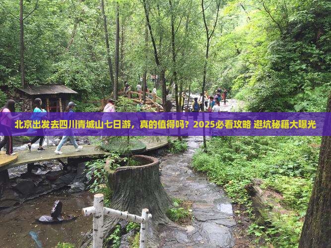 北京去四川青城山七日游