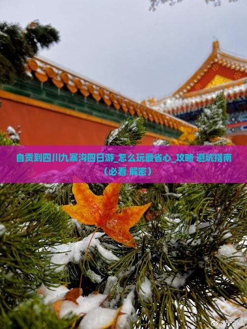 自贡到四川九寨沟四日游