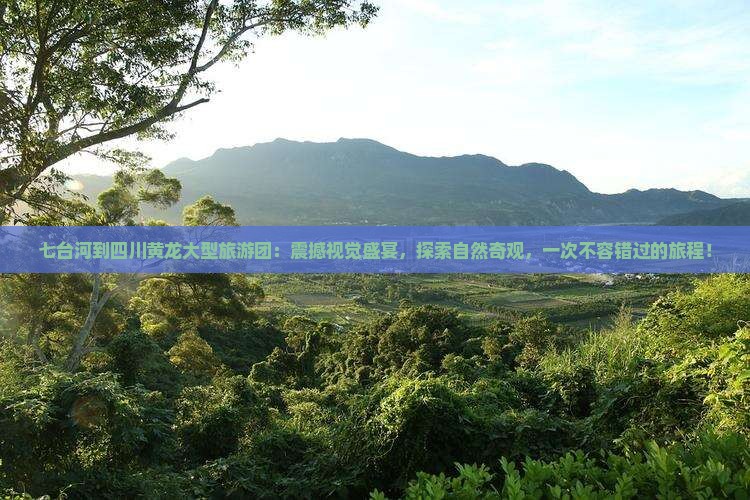 七台河到四川黄龙大型旅游团
