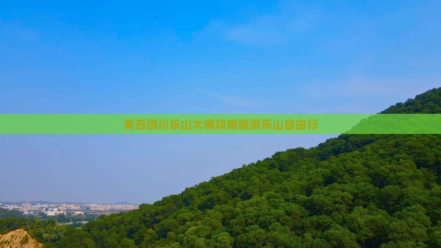 黄石去四川乐山大佛自由行