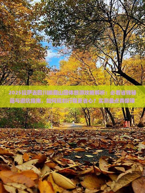 拉萨去四川峨眉山团体旅游
