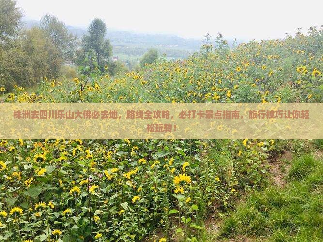 株洲去四川乐山大佛必去地