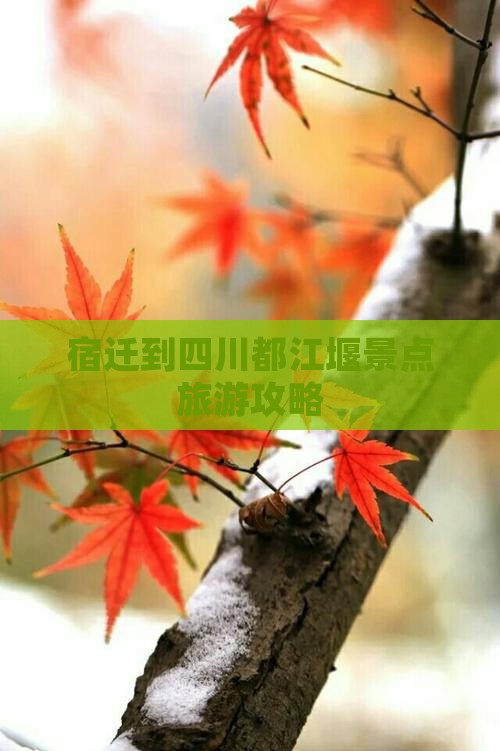 宿迁到四川都江堰团体旅游