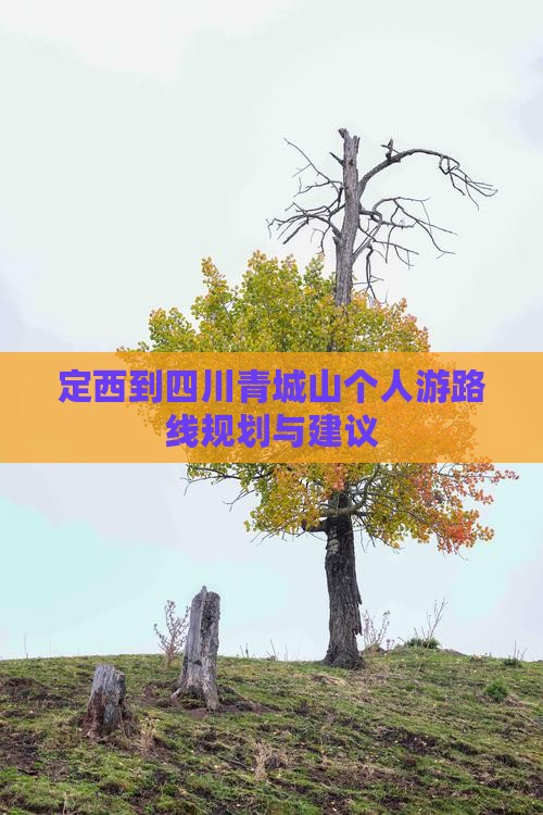 定西到四川青城山个人游