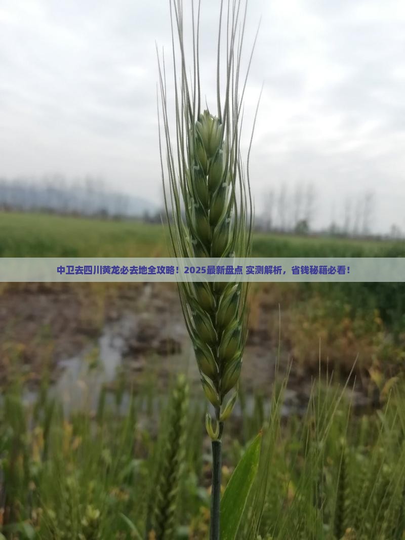 中卫去四川黄龙必去地