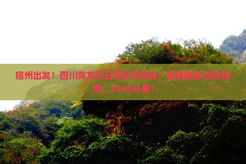 宿州到四川黄龙五日游