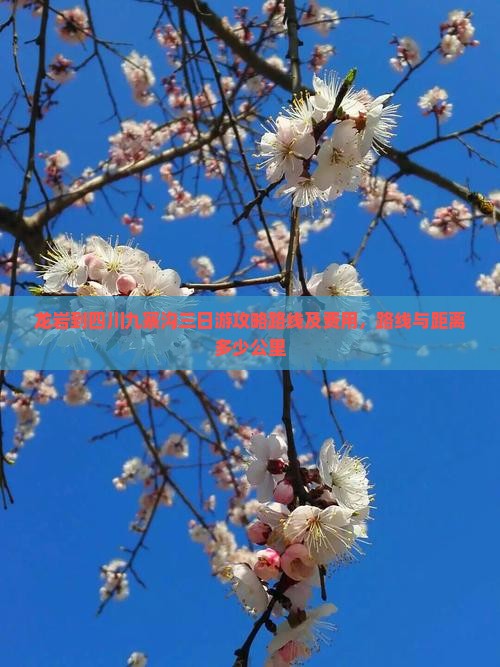 龙岩到四川九寨沟三日游