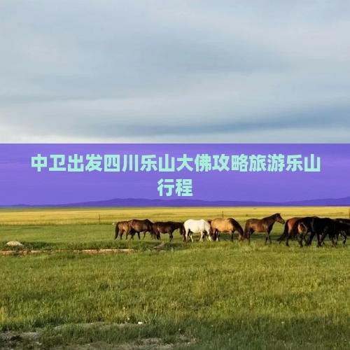 中卫去四川乐山大佛大型旅游团