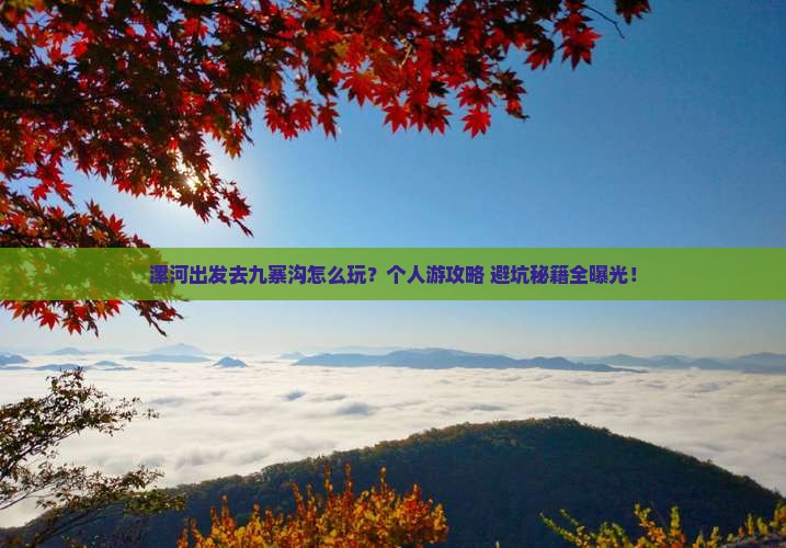 漯河去四川九寨沟个人游