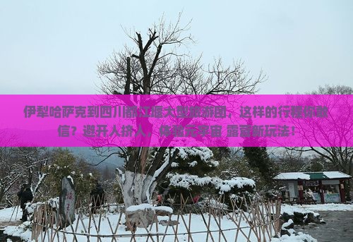 伊犁哈萨克到四川都江堰大型旅游团