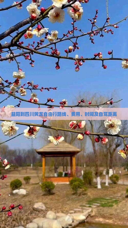 益阳到四川黄龙自由行
