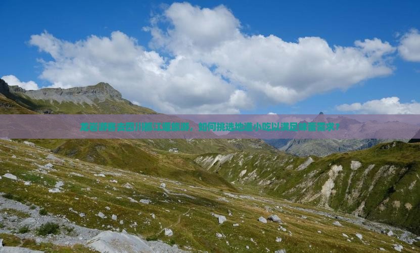 龙岩游客去四川都江堰旅游，如何挑选地道小吃以满足味蕾需求？