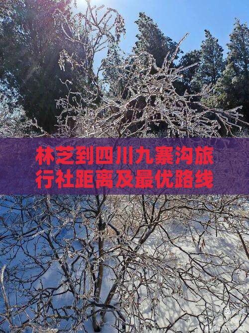 林芝到四川九寨沟旅行社距离及最优路线详解