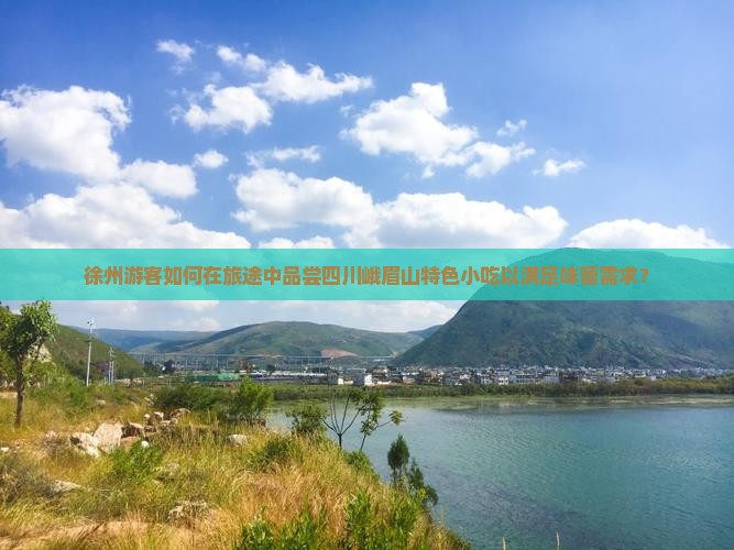 徐州游客如何在旅途中品尝四川峨眉山特色小吃以满足味蕾需求？