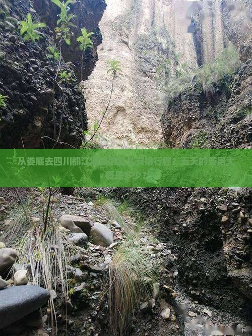 从娄底去四川都江堰旅游怎么安排行程？五天的费用大概是多少？