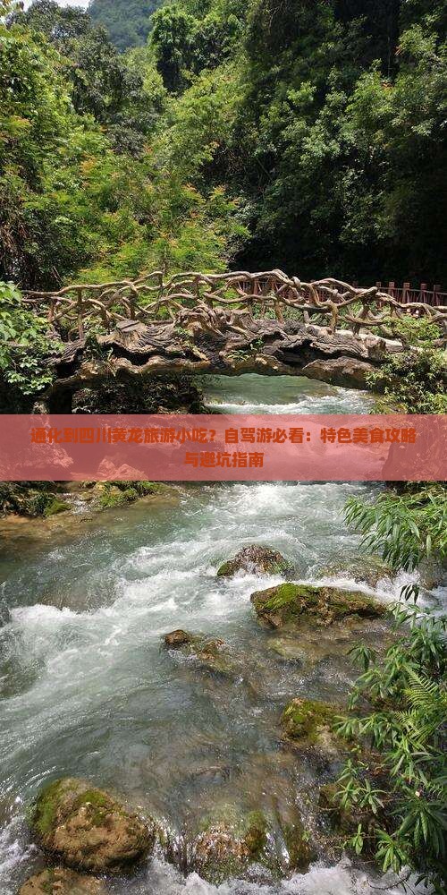 通化到四川黄龙旅游小吃？自驾游必看：特色美食攻略与避坑指南