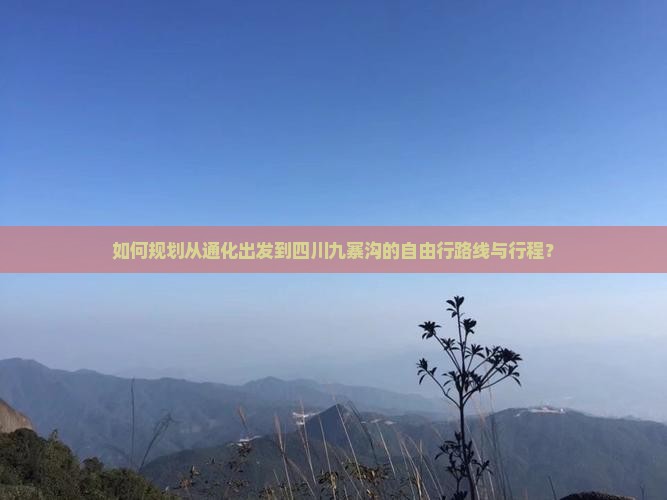 如何规划从通化出发到四川九寨沟的自由行路线与行程？