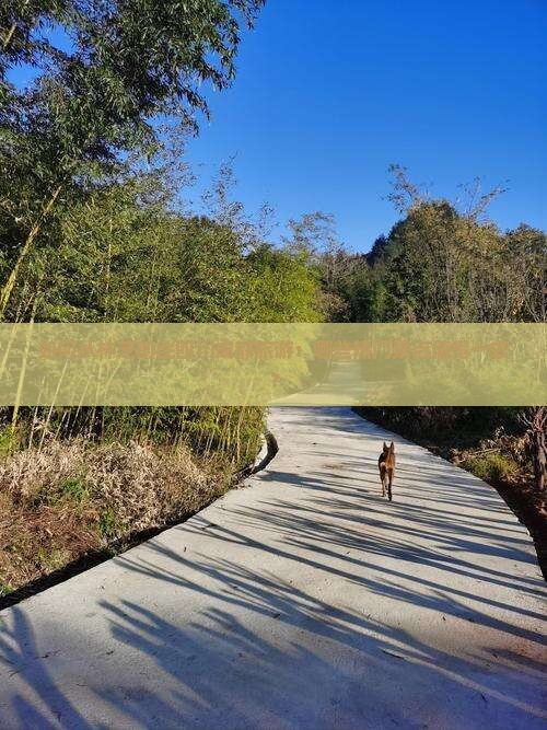 如何从林芝前往四川成都旅游：哪些热门景点值得一去？