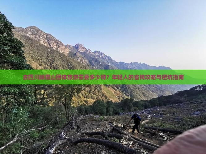 去四川峨眉山团体旅游需要多少钱？年轻人的省钱攻略与避坑指南