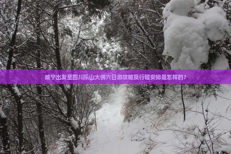 咸宁出发至四川乐山大佛六日游攻略及行程安排是怎样的？