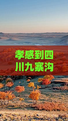 孝感到四川九寨沟自由团距离及票价一览