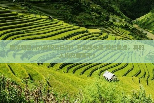 菏泽到四川九寨沟五日游？不走回头路+网红景点，真的人均只要两千？