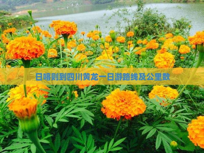 日喀则到四川黄龙一日游路线及公里数