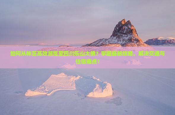 如何从林芝高效游览至四川乐山大佛？掌握最新攻略，解决交通与住宿痛点！