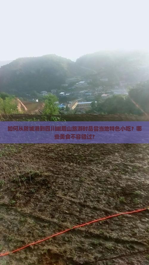 如何从防城港到四川峨眉山旅游时品尝当地特色小吃?哪些美食不容错过? 如何从防城港到四川峨眉山旅游时品尝当地特色小吃?哪些美食不容错过?