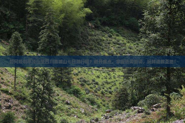 如何规划平顶山至四川青城山七日游行程？避开痛点，掌握热词新词，玩转道教圣地！