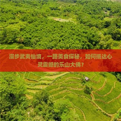 漫步武夷仙境，一路美食探秘，如何抵达心灵震撼的乐山大佛？