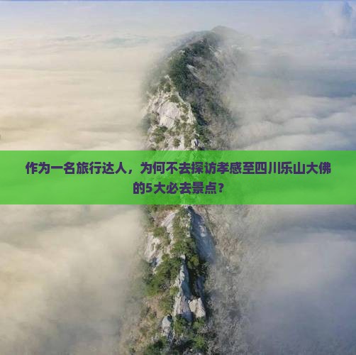 作为一名旅行达人，为何不去探访孝感至四川乐山大佛的5大必去景点？