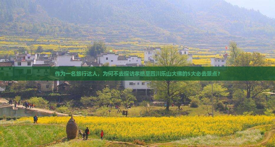 作为一名旅行达人，为何不去探访孝感至四川乐山大佛的5大必去景点？