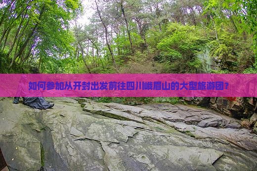 如何参加从开封出发前往四川峨眉山的大型旅游团？