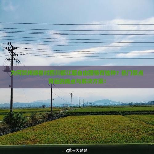 为何贺州游客对四川都江堰自由团情有独钟？热门景点背后的痛点与解决方案！