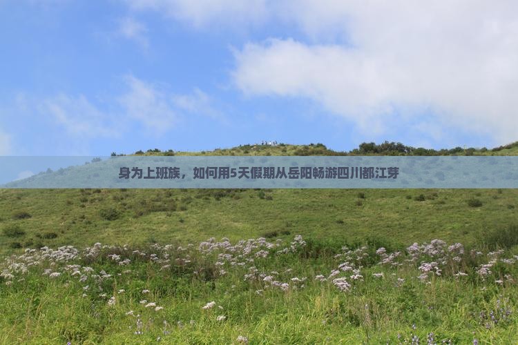 身为上班族，如何用5天假期从岳阳畅游四川都江芽