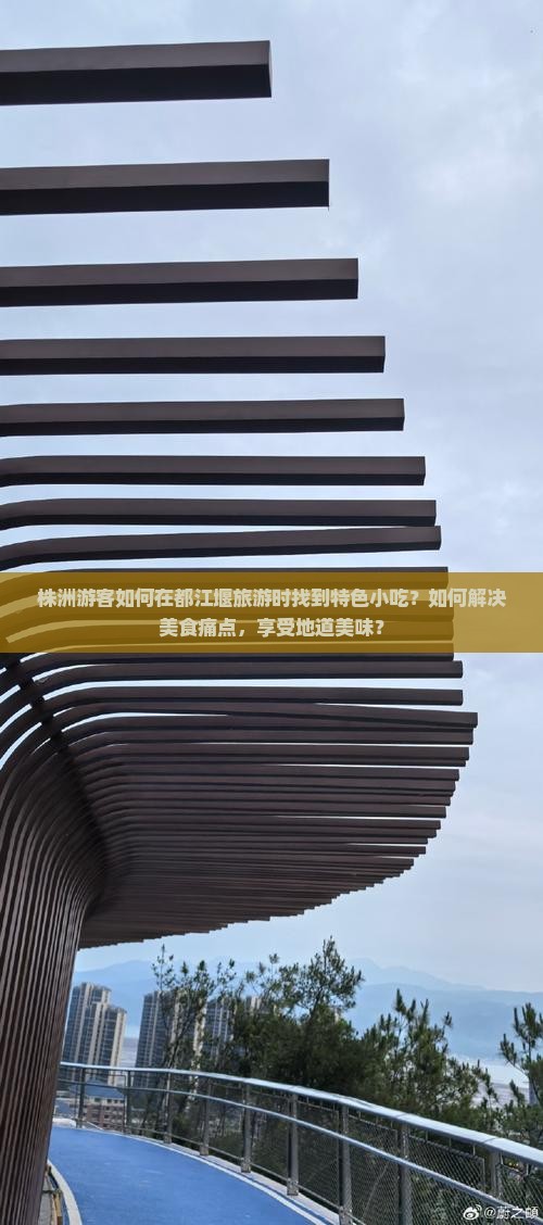 株洲游客如何在都江堰旅游时找到特色小吃？如何解决美食痛点，享受地道美味？