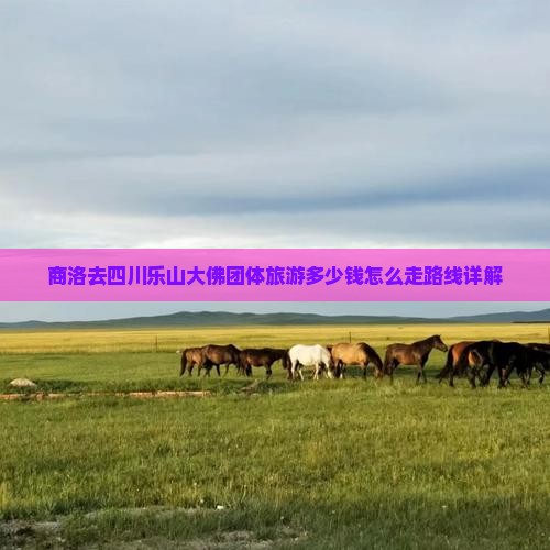 商洛去四川乐山大佛团体旅游多少钱怎么走路线详解