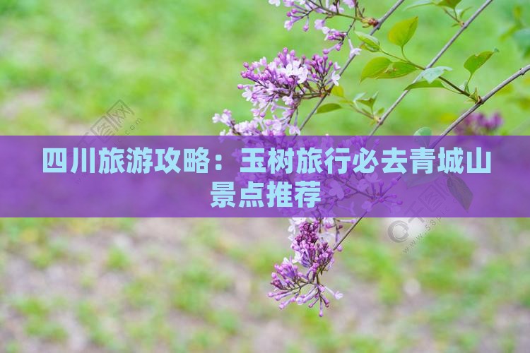四川旅游攻略：玉树旅行必去青城山景点推荐