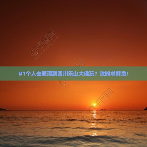 #1个人去鹰潭到四川乐山大佛玩？攻略求解急！