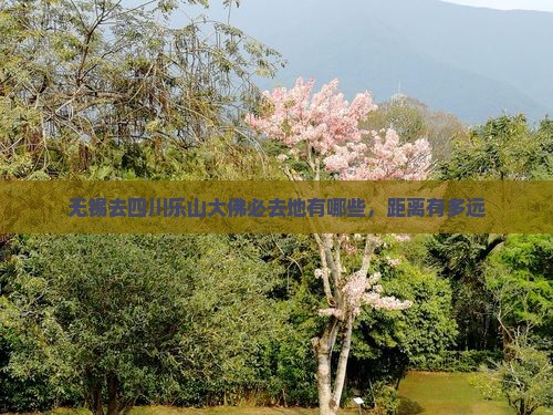 无锡去四川乐山大佛必去地有哪些，距离有多远