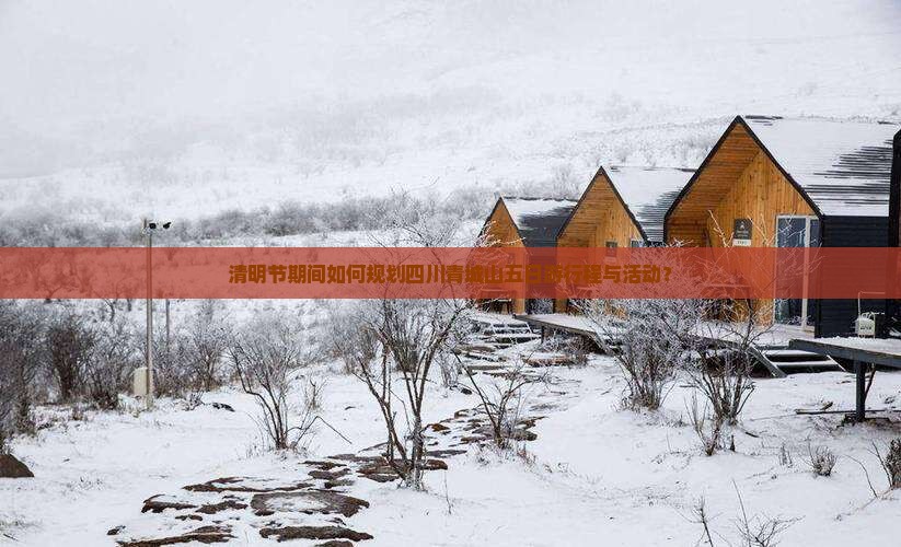 清明节期间如何规划四川青城山五日游行程与活动？