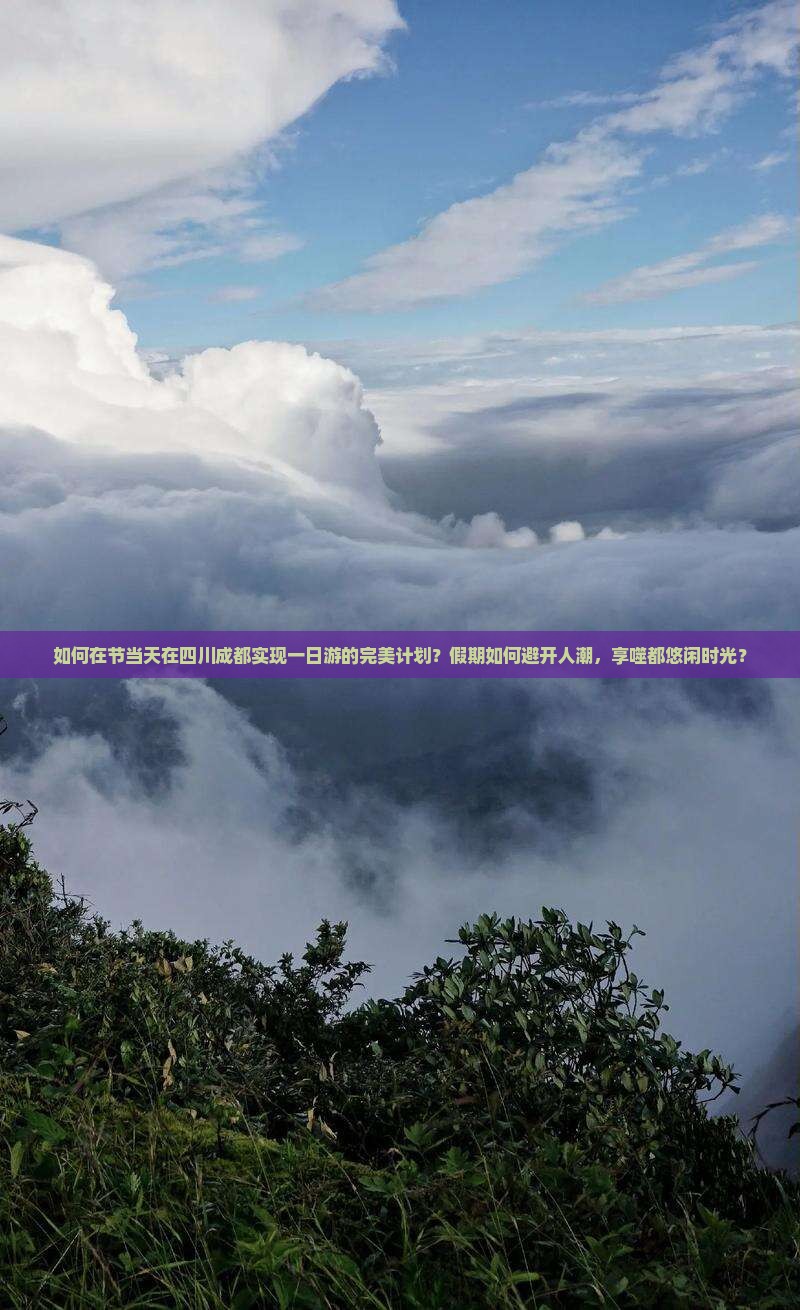 如何在节当天在四川成都实现一日游的完美计划？假期如何避开人潮，享噬都悠闲时光？