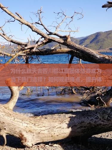 为什么秋天去四川都江堰团体旅游成为当下热门选择？如何规避痛点，提升体验？