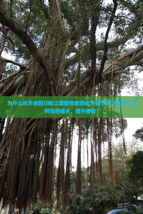 为什么秋天去四川都江堰团体旅游成为当下热门选择？如何规避痛点，提升体验？