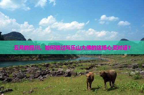 五月的四川，如何错过与乐山大佛的这场心灵对话？