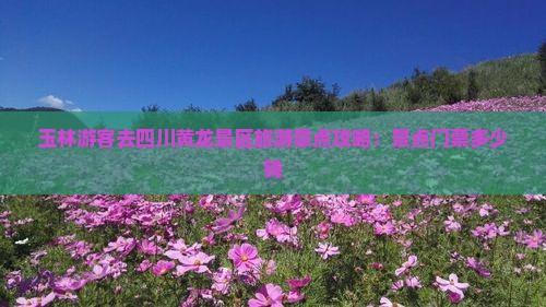 玉林游客去四川黄龙景区旅游景点攻略：景点门票多少钱