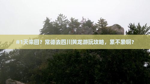 #1天来回？常德去四川黄龙游玩攻略，累不累啊？