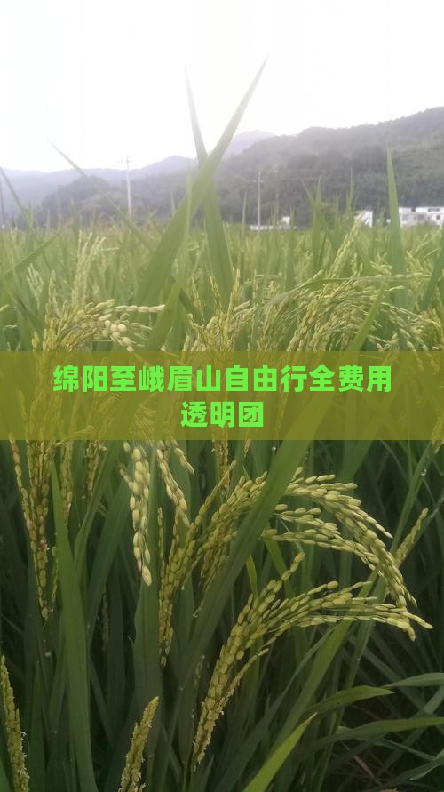 绵阳至峨眉山自由行全费用透明团